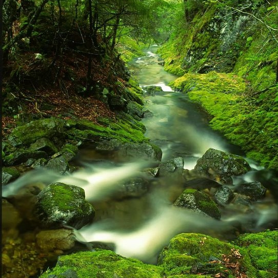 5b2Ua2EDmGB55Z7colM2lb10PW_A2z0IGRrz72WnPq8,gl7q51O4NpnDbMrgYvOriwuO54b6CMZSSues-JhvkAo.jpg