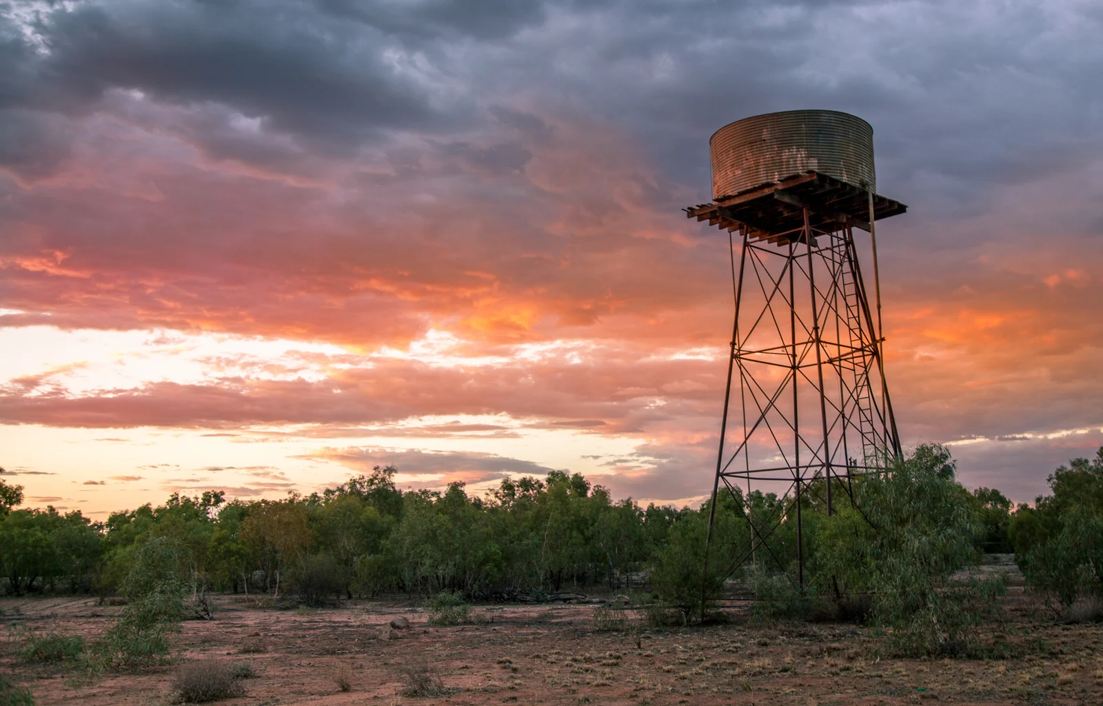 Image by Jordin Steele