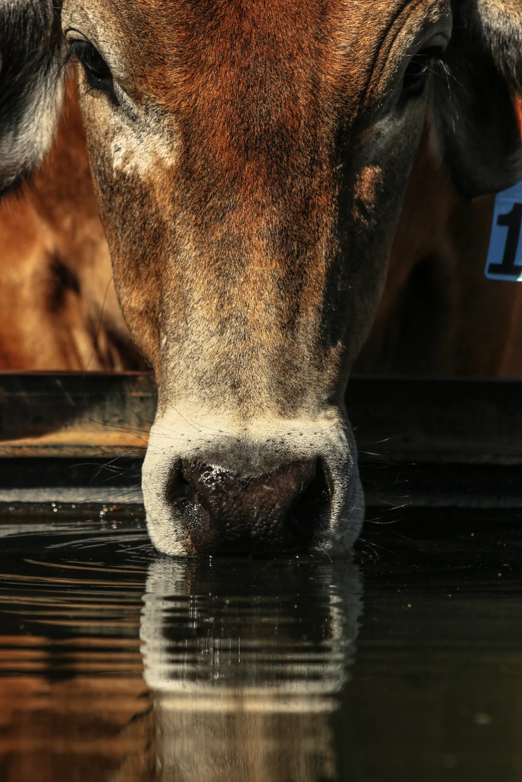 We all need water to grow-Edit.jpg