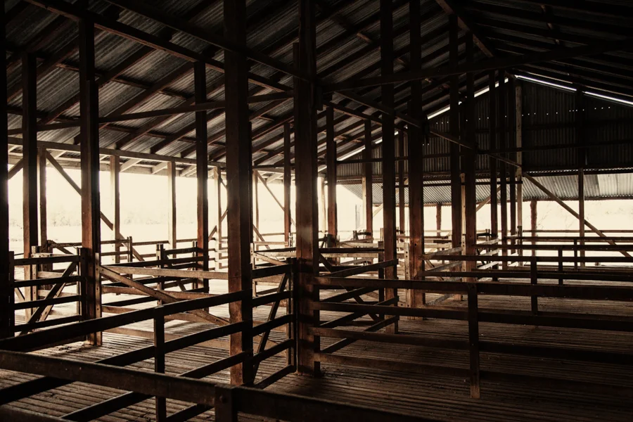 Dawn at Gamarren Station