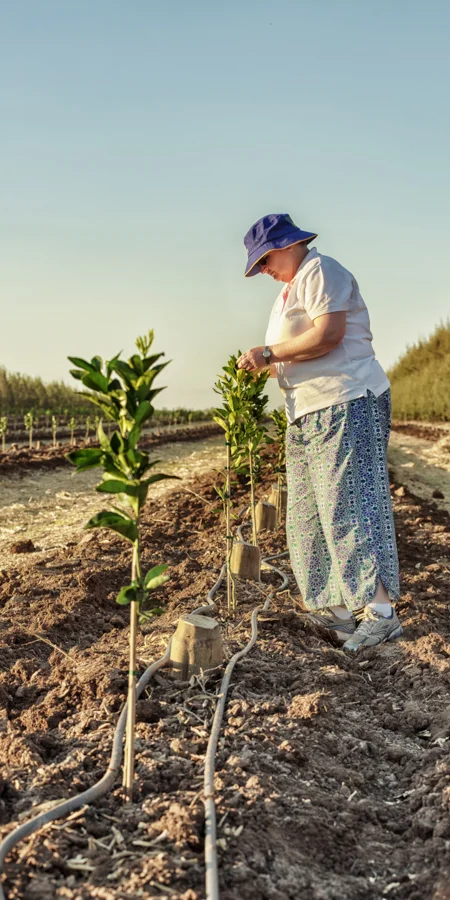 Pinching out (Fay Winten) by Pam Bartlett Munt