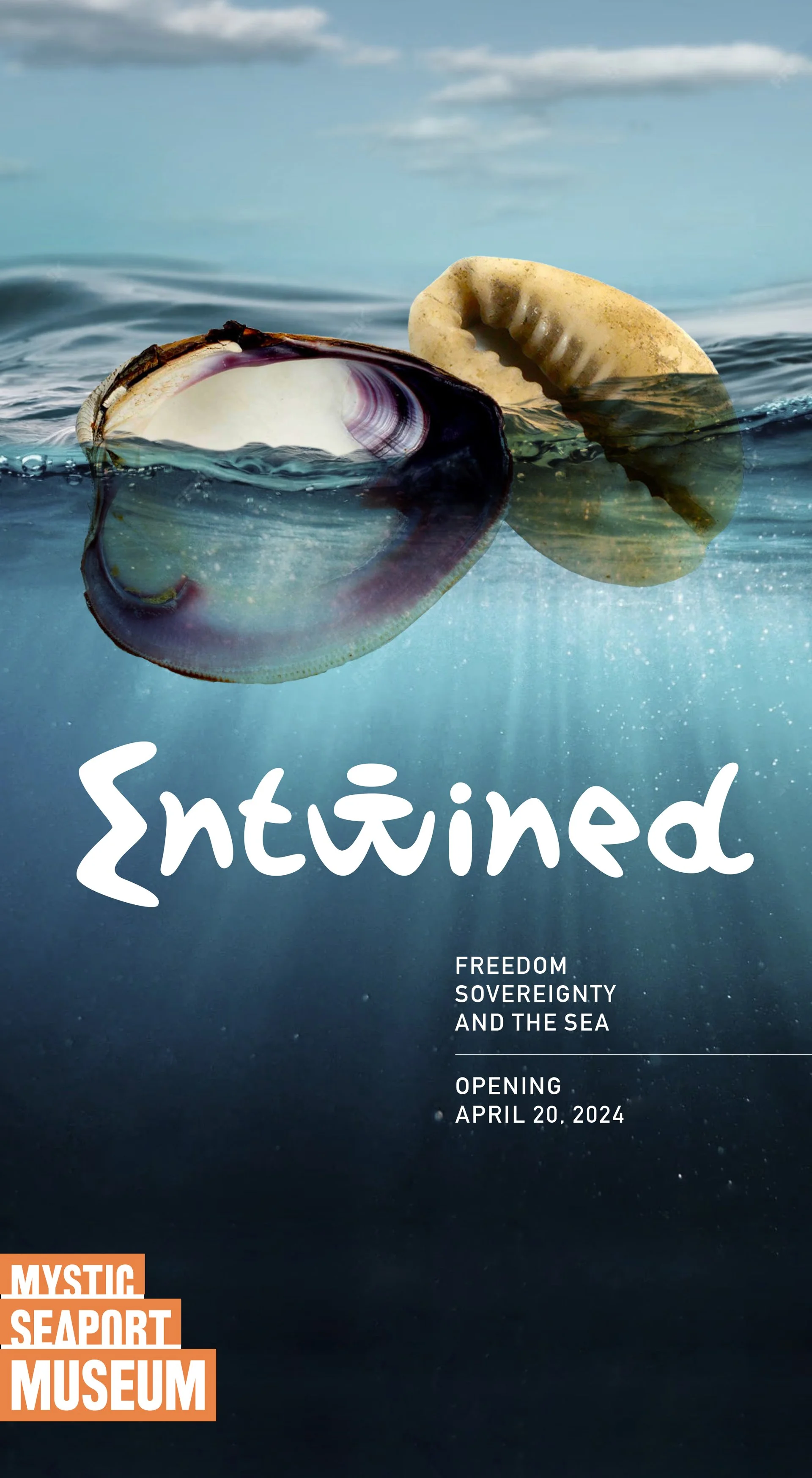 Entwined-Shells.jpg