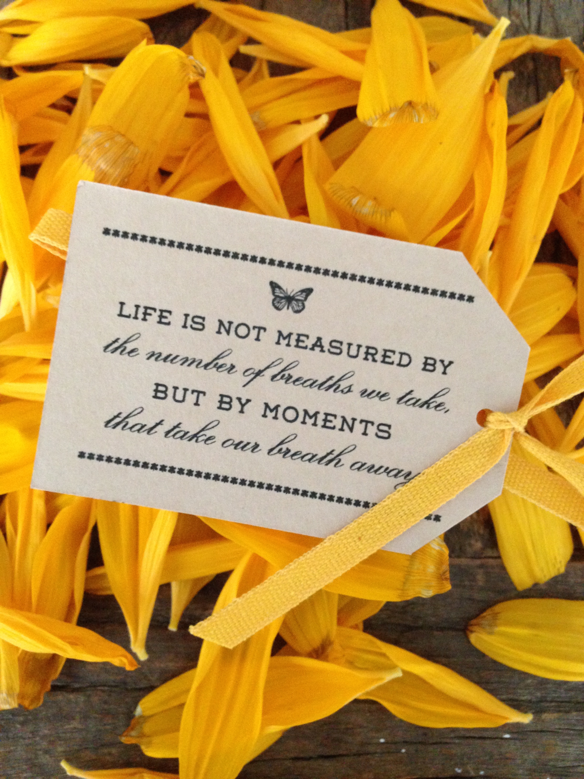 Linda loves butterflies!