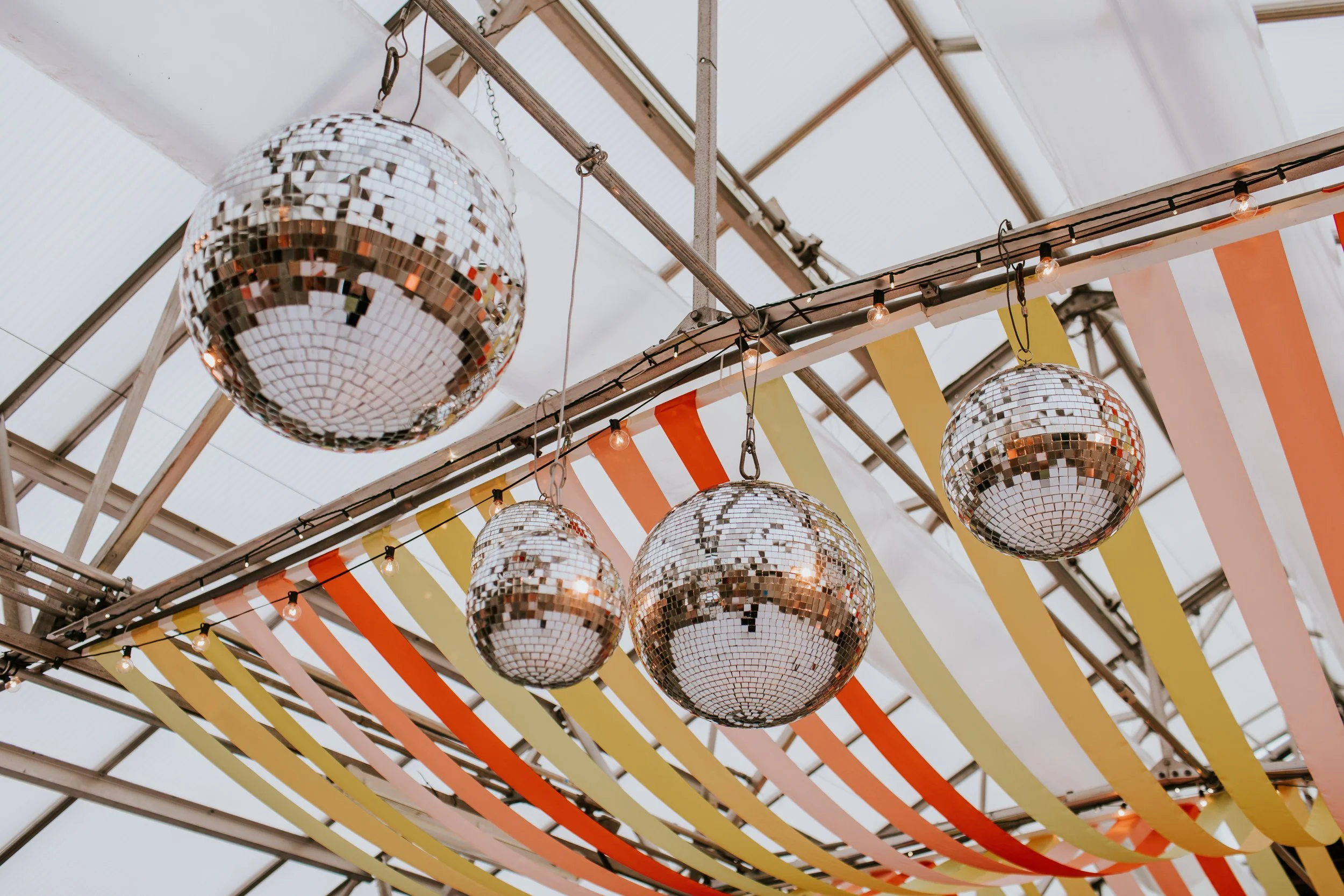 DJ_HORTICULTURE_CENTER_WEDDING_M2PHOTODJ_HORTICULTUE_CENTER_WEDDING_M2PHOTO684.jpeg