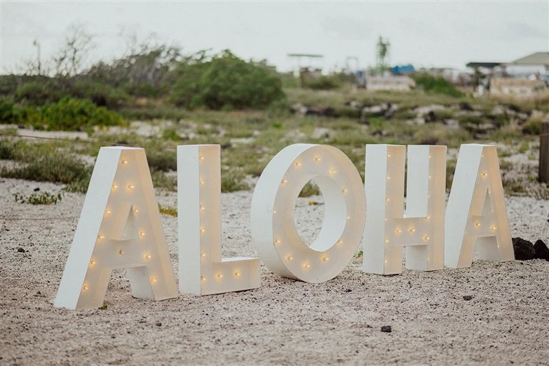 emily-jacob-welcome-party-konasaltfarm-bigisland-07042025190_websize.jpeg
