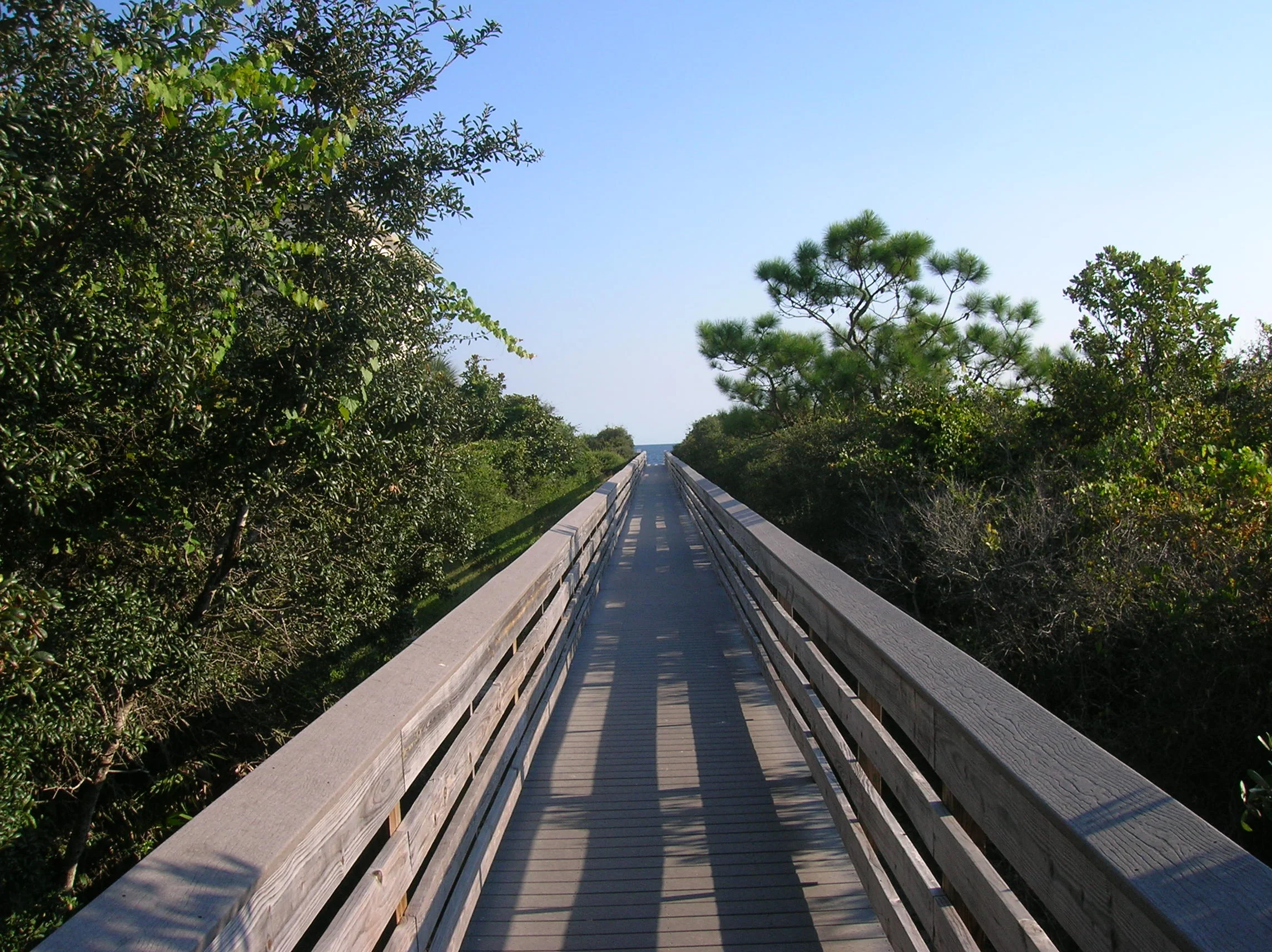 DSCN4974.JPG