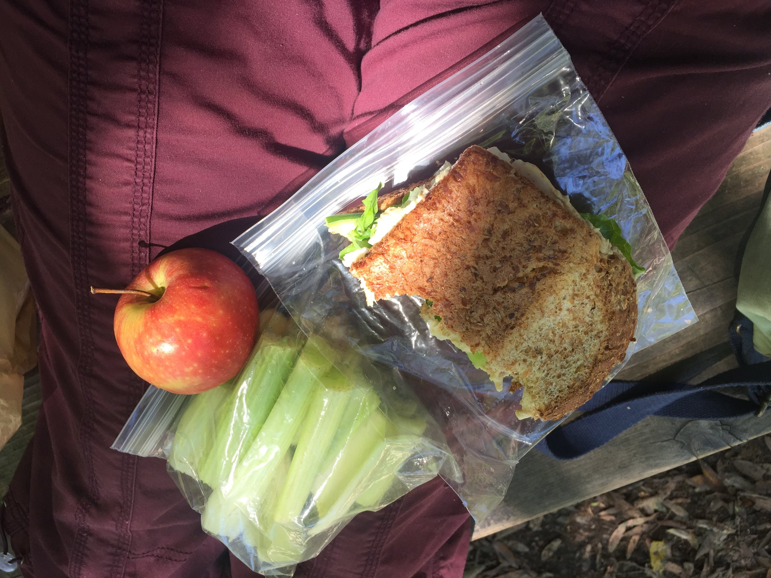 Pre-hiking lunch at John Muir Woods, California