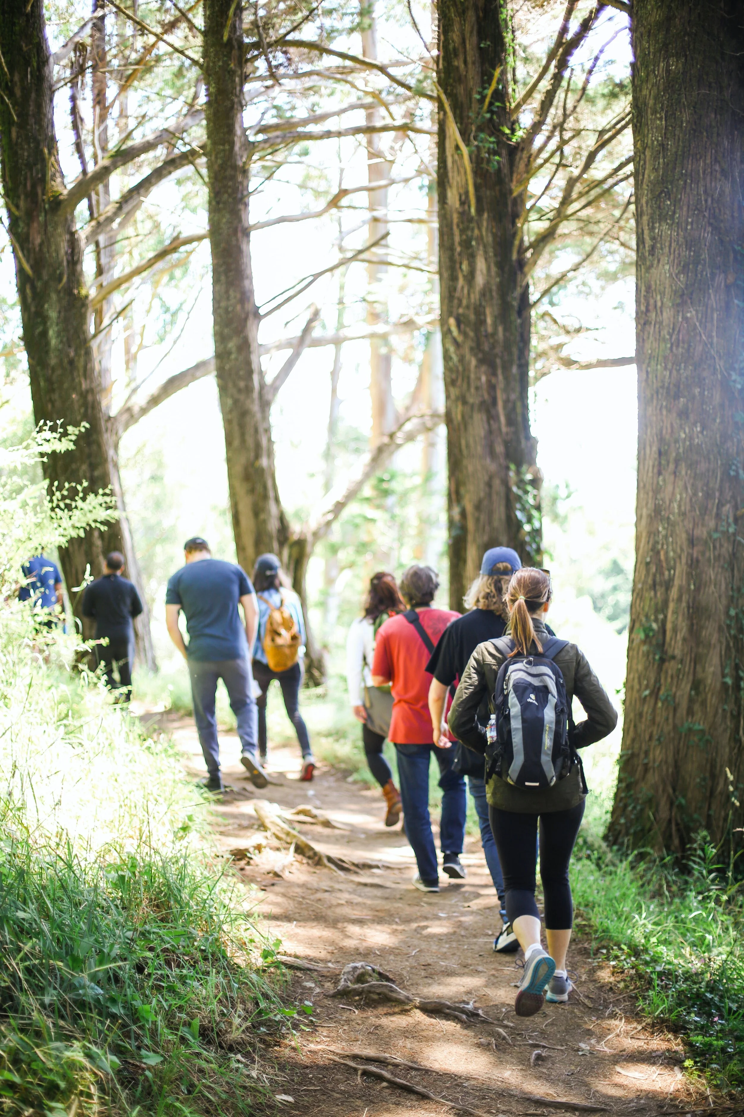 nature walk.jpg