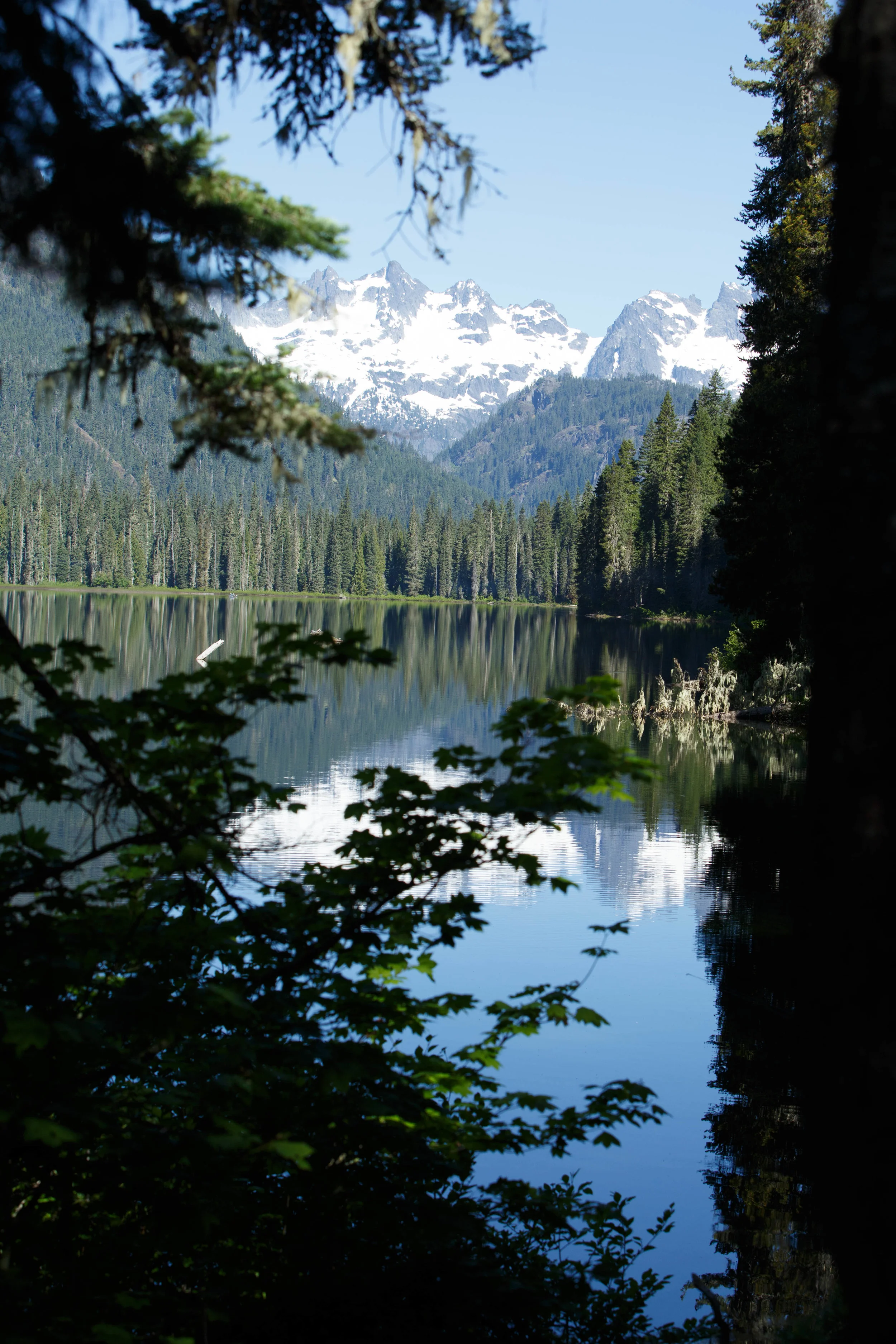 _22A5295.jpg