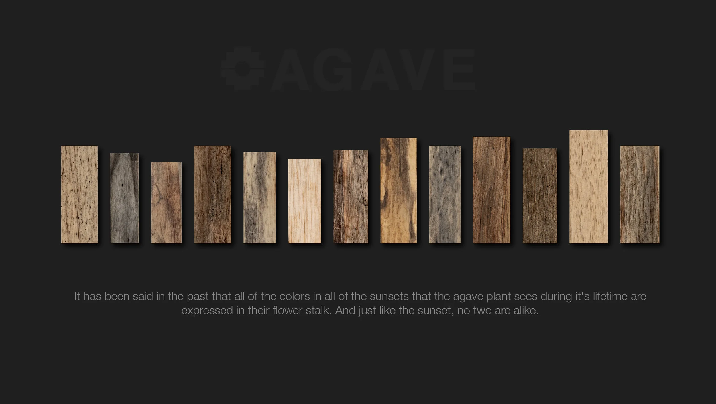 Swatches.jpg