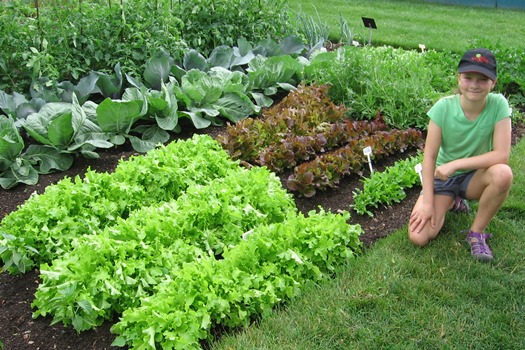 I love lettuce!