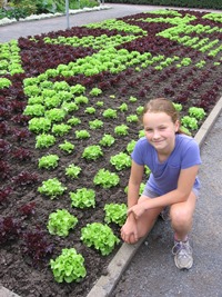 Art with lettuce