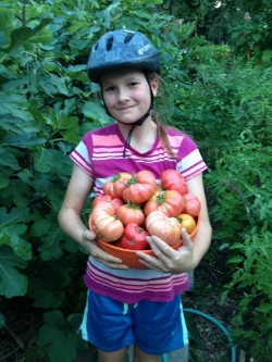 Emma's favourite tomato for 2015....