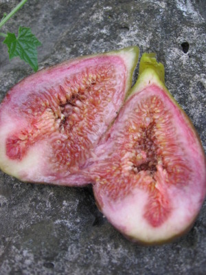 A truly ripe fresh fig packs a succulent burst of jam-like sweetness.