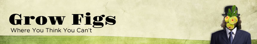 SiteHeader.jpg