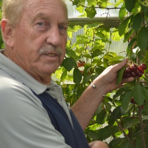 Dr. Ieuan Evans from Alberta, growing fruit on the Canadian Prairies