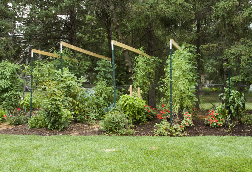 Vertical Gardening with Straw Bales