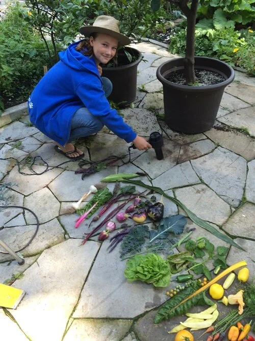 The Rainbow of Veggies