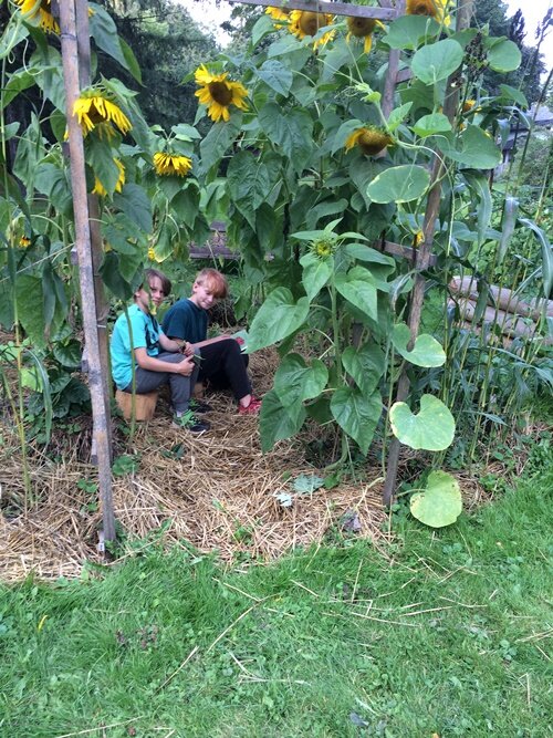 Hanging out in the Sunflower House