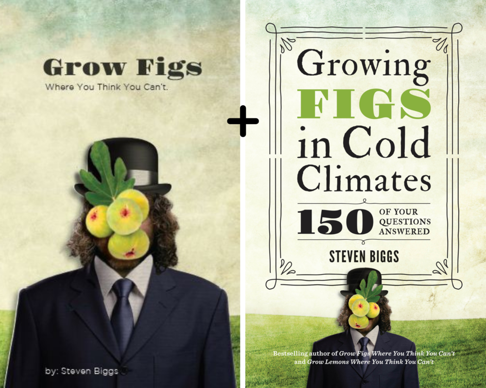 Fig Book Combo - Save $5