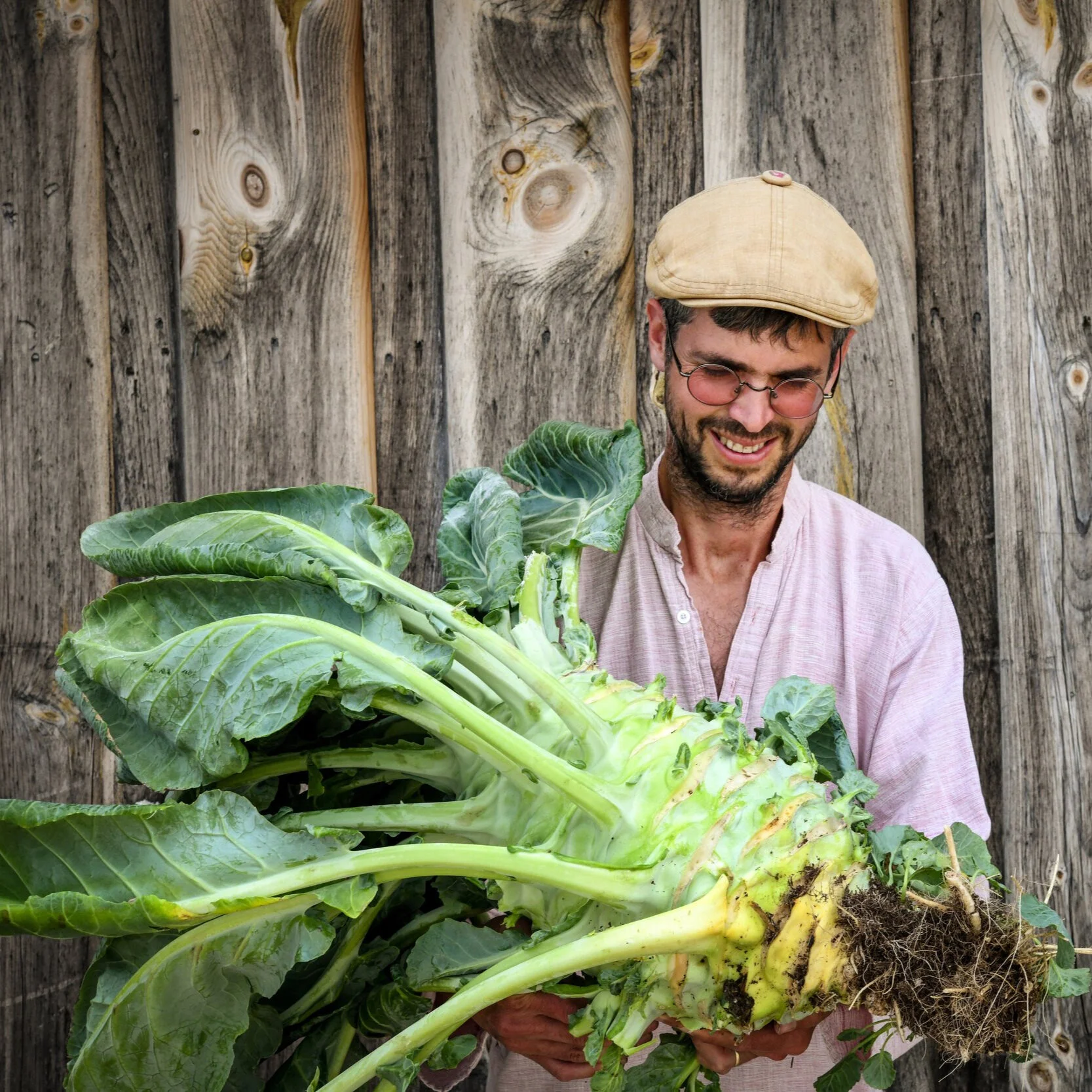 A Passion for Heirloom Vegetable Seeds — Food Garden Life: Edible Garden,  Vegetable Garden, Edible Landscaping