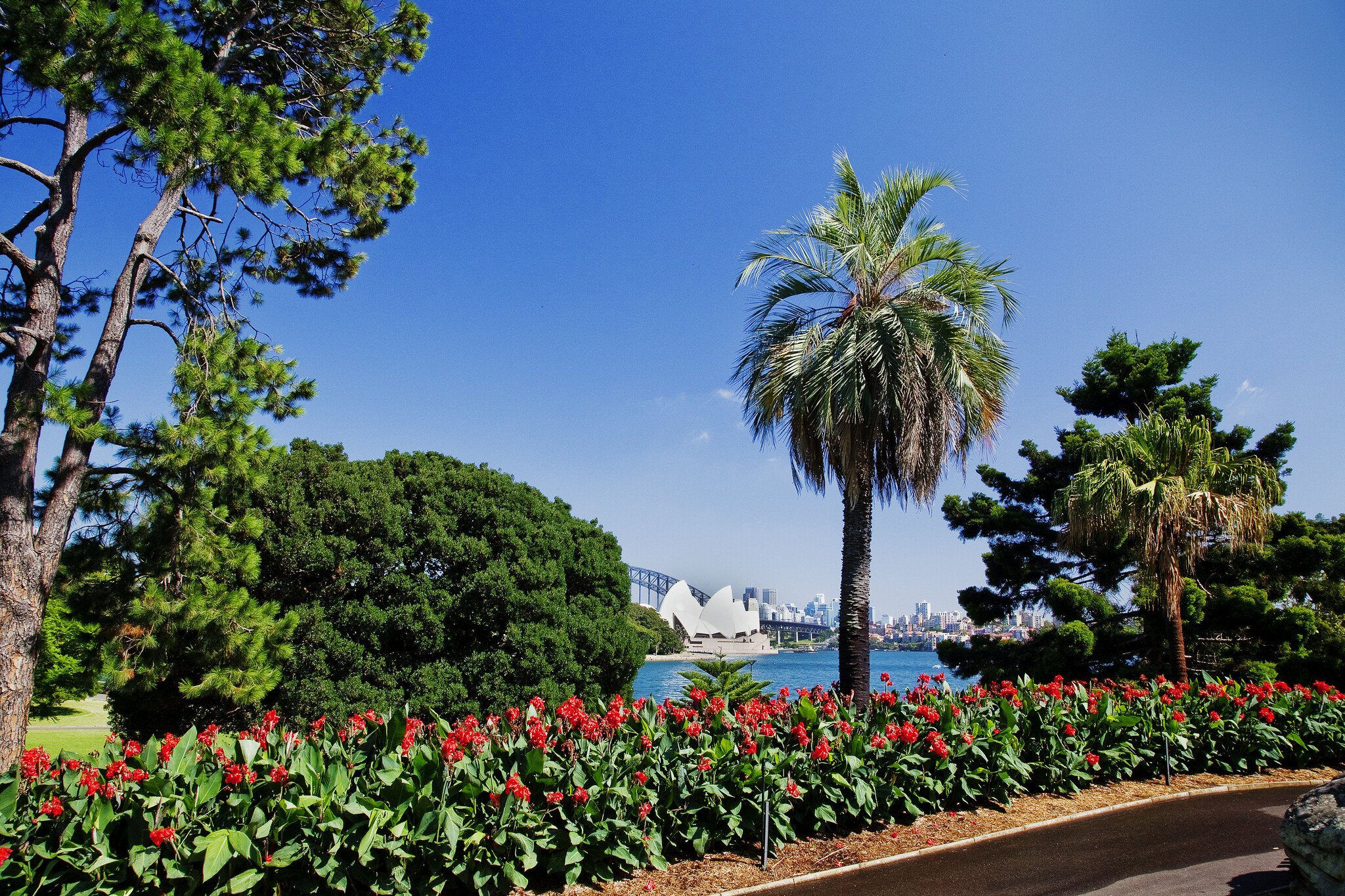 The Royal Botanic Garden Sydney