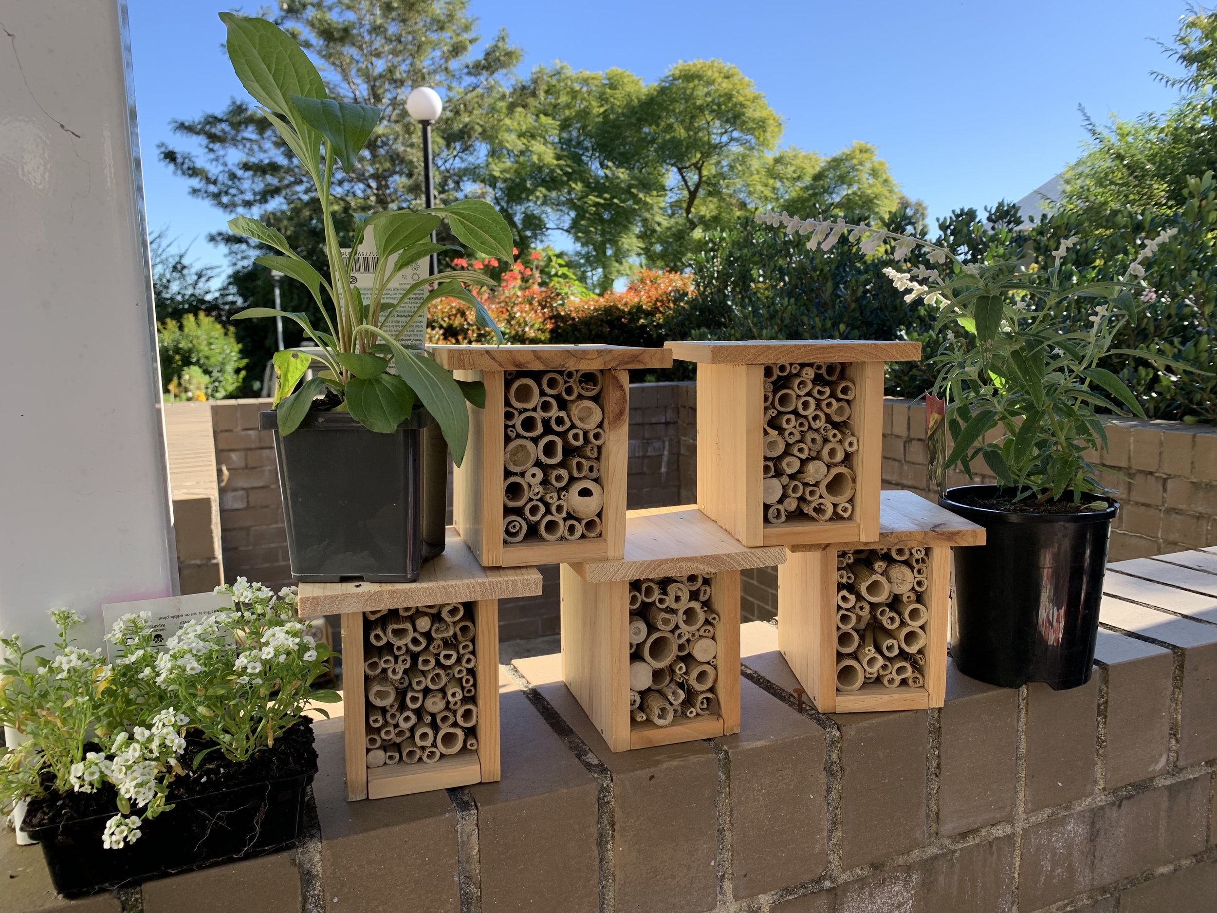 Insect Hotel Workshop