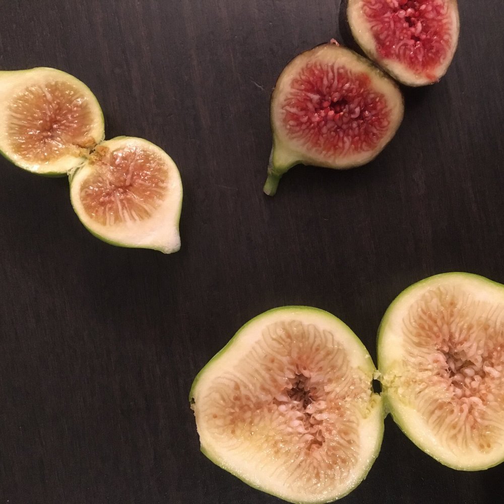 Fig Varieties