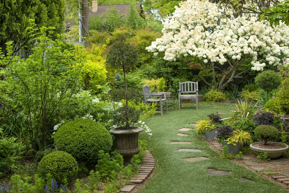 How to Design Edible Garden: Transform Your Outdoor Space