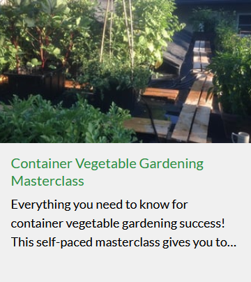 screen shot container veg.png