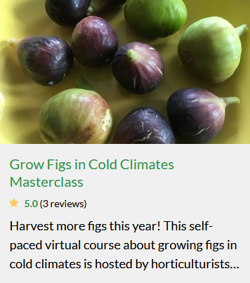 screen shot figs.png