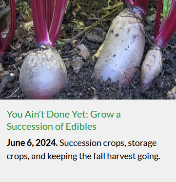 screen shot June.png