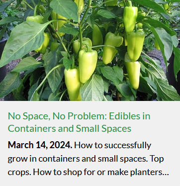 screen shot March.png