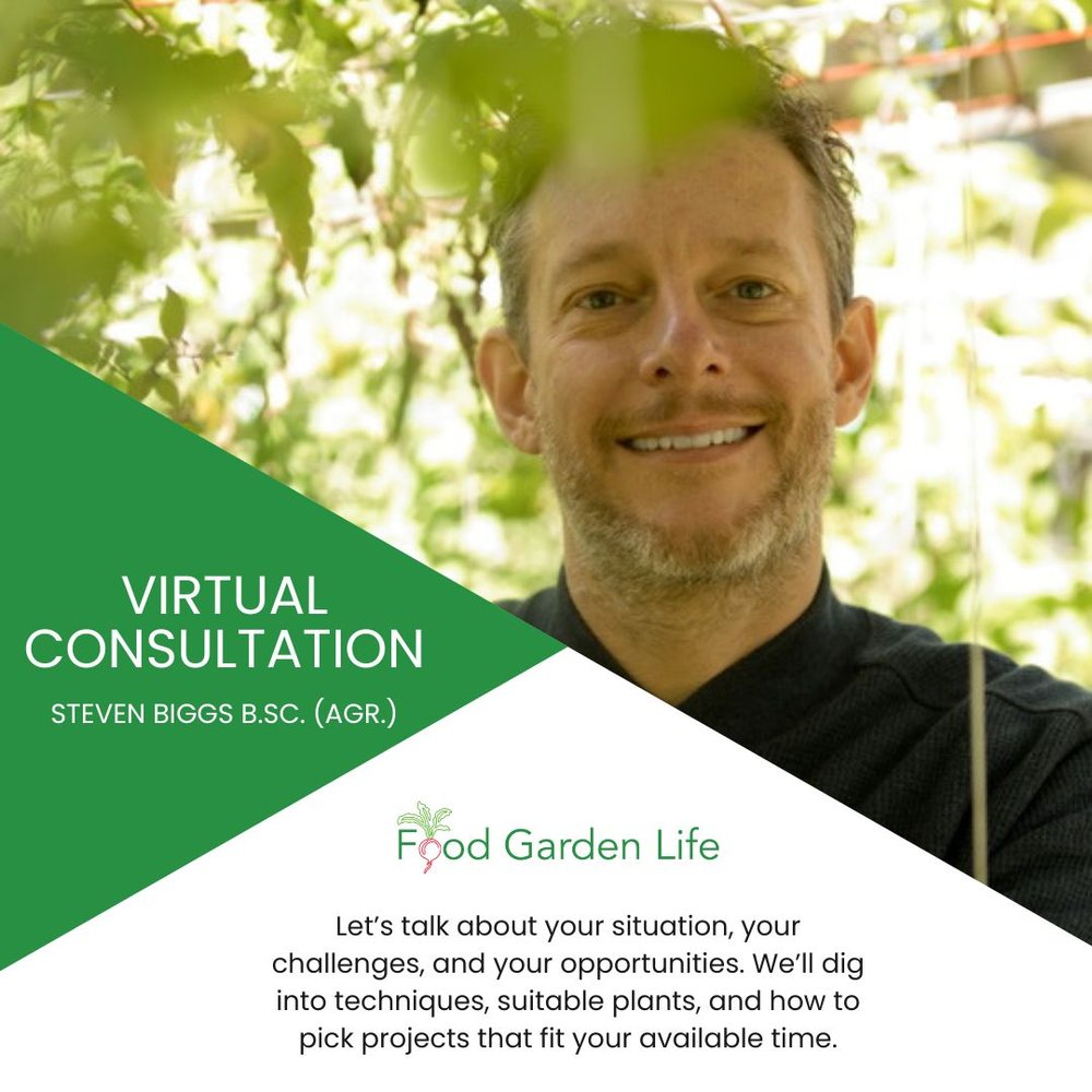 Virtual Consultation (1/2 hour)