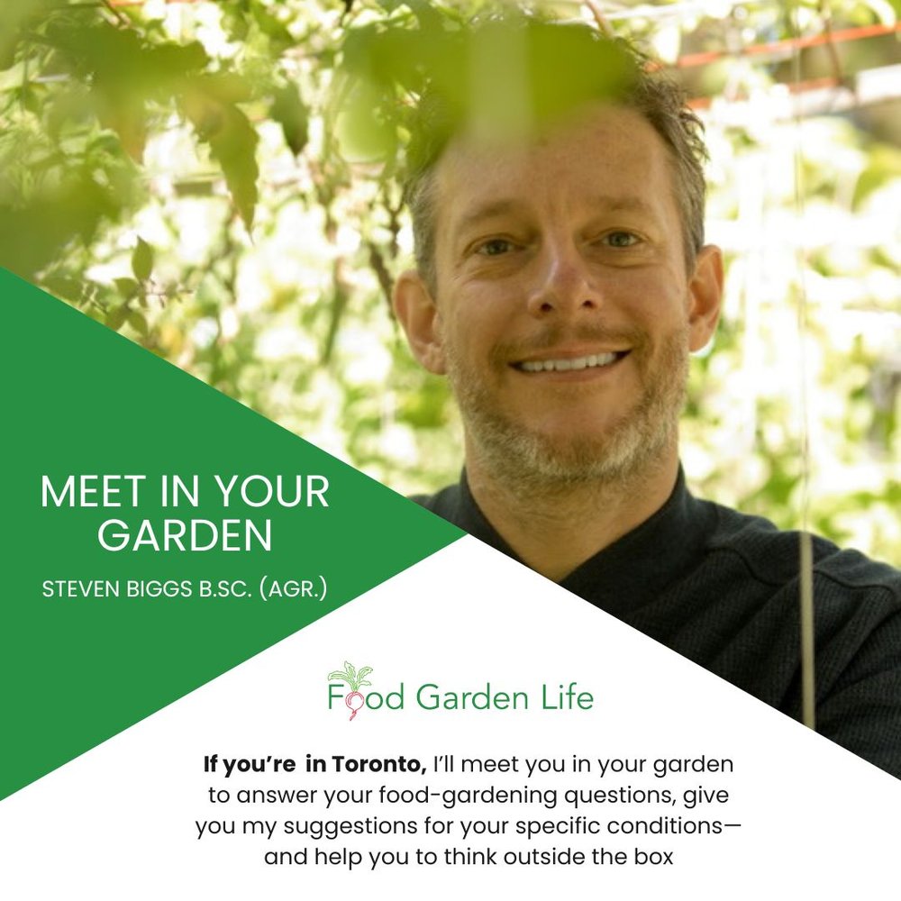 Meet in Your Garden (1 hour, in Toronto)