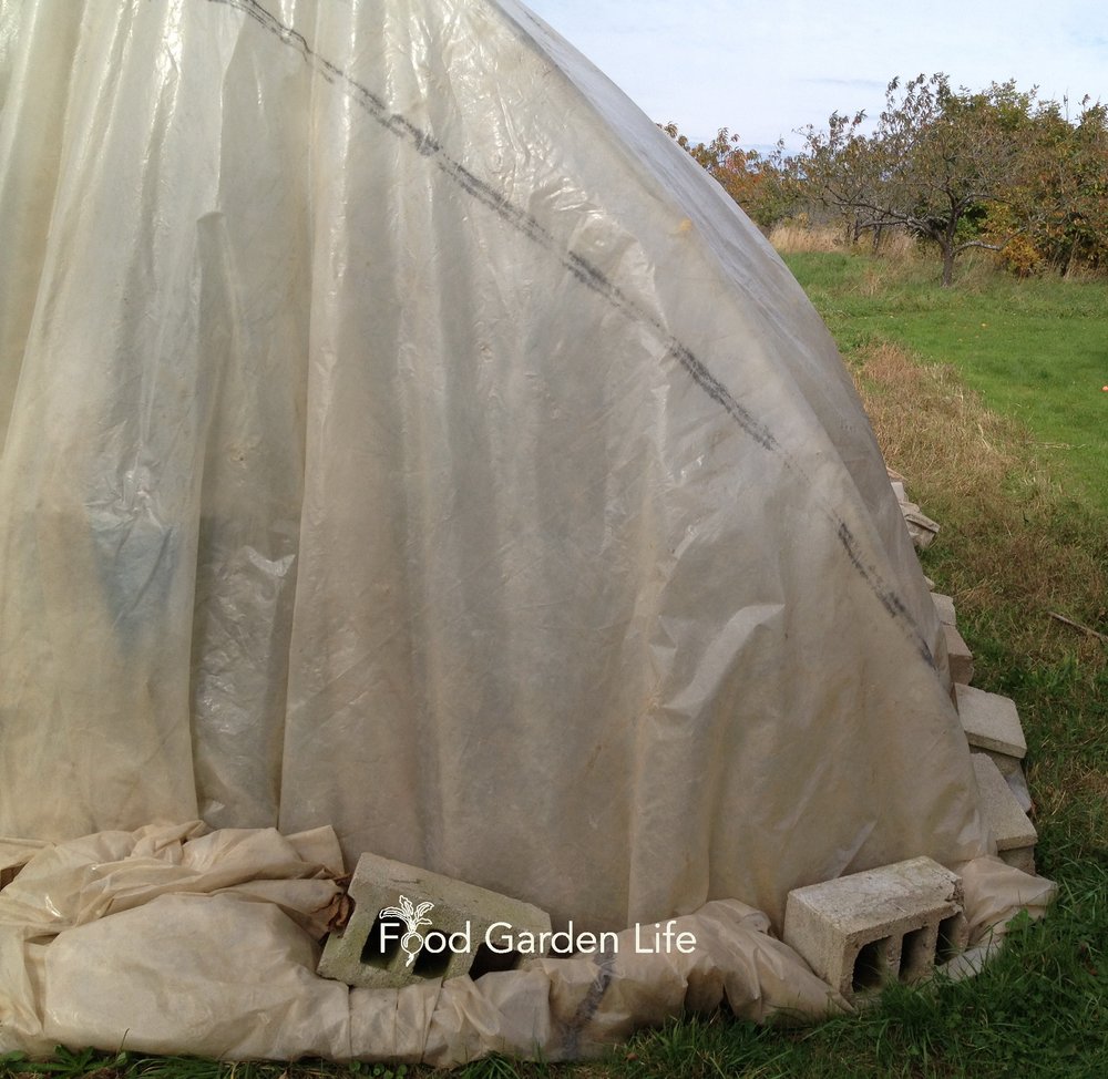 Joe's Temporary Greenhouse