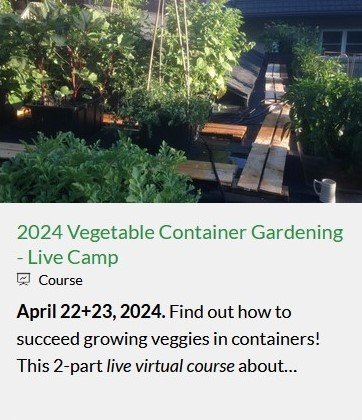 container veg camp.jpg