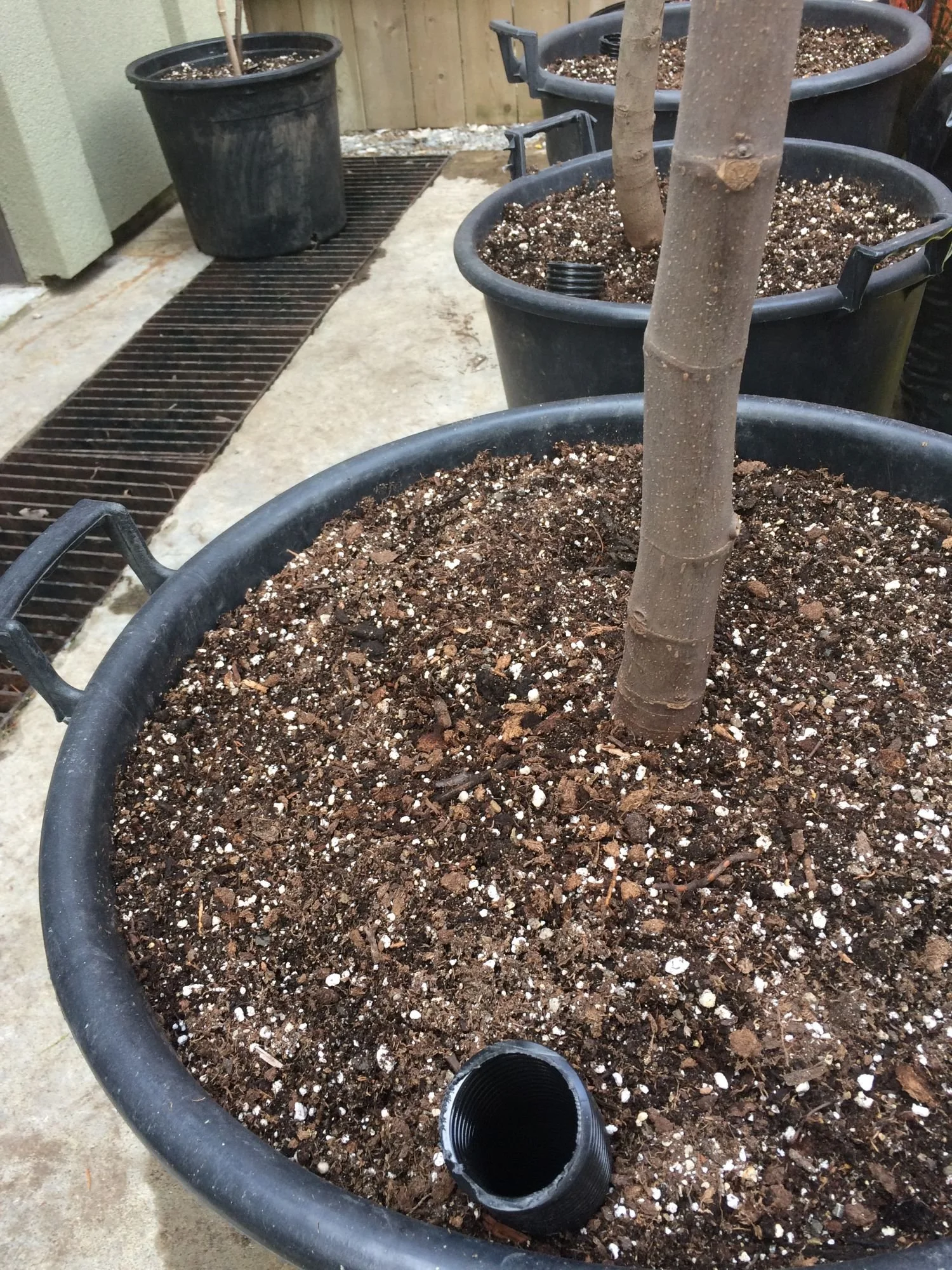 Fill tube extending into the reservoir of a sub-irrigated planter