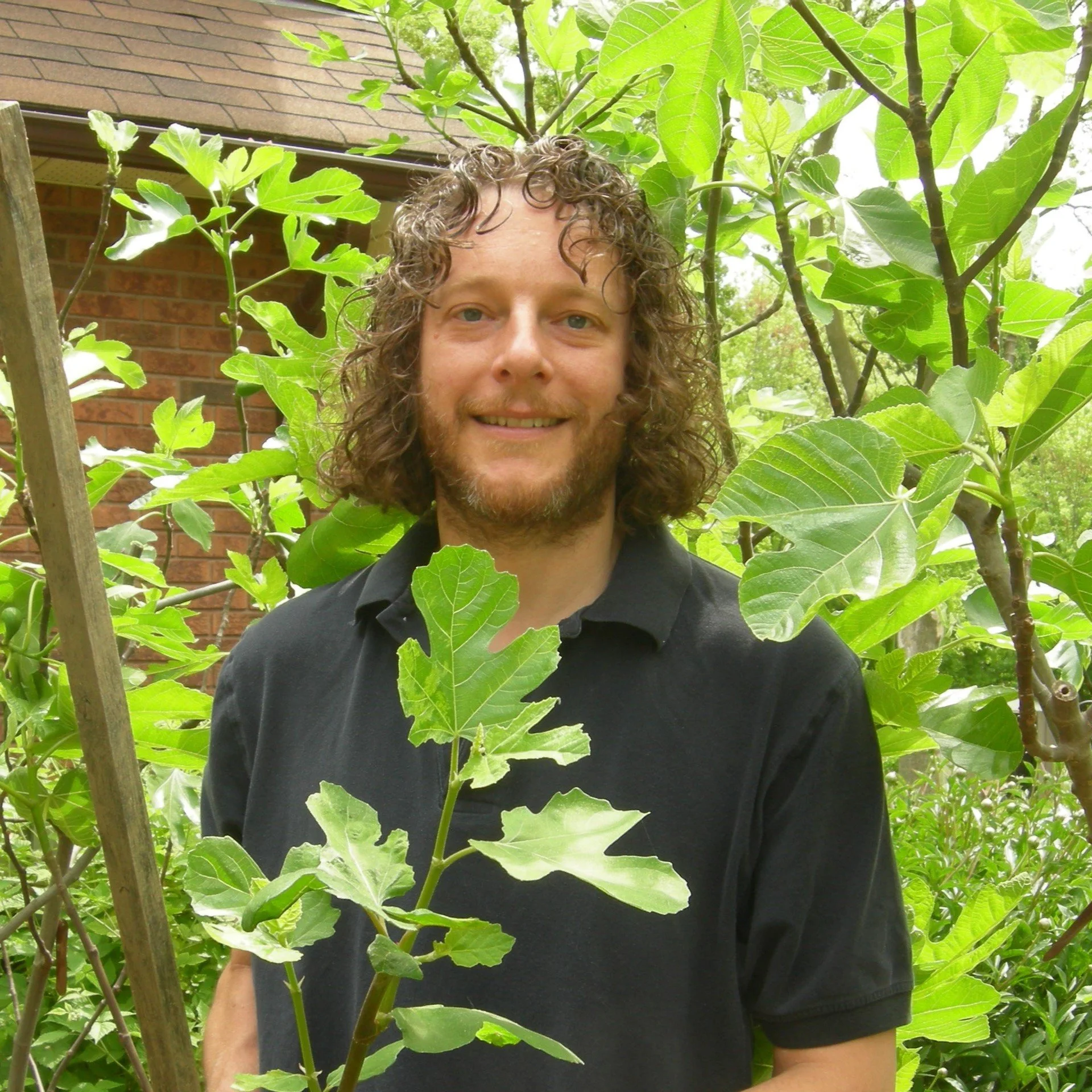Steven Biggs standing among fig trees in his Toronto garden
