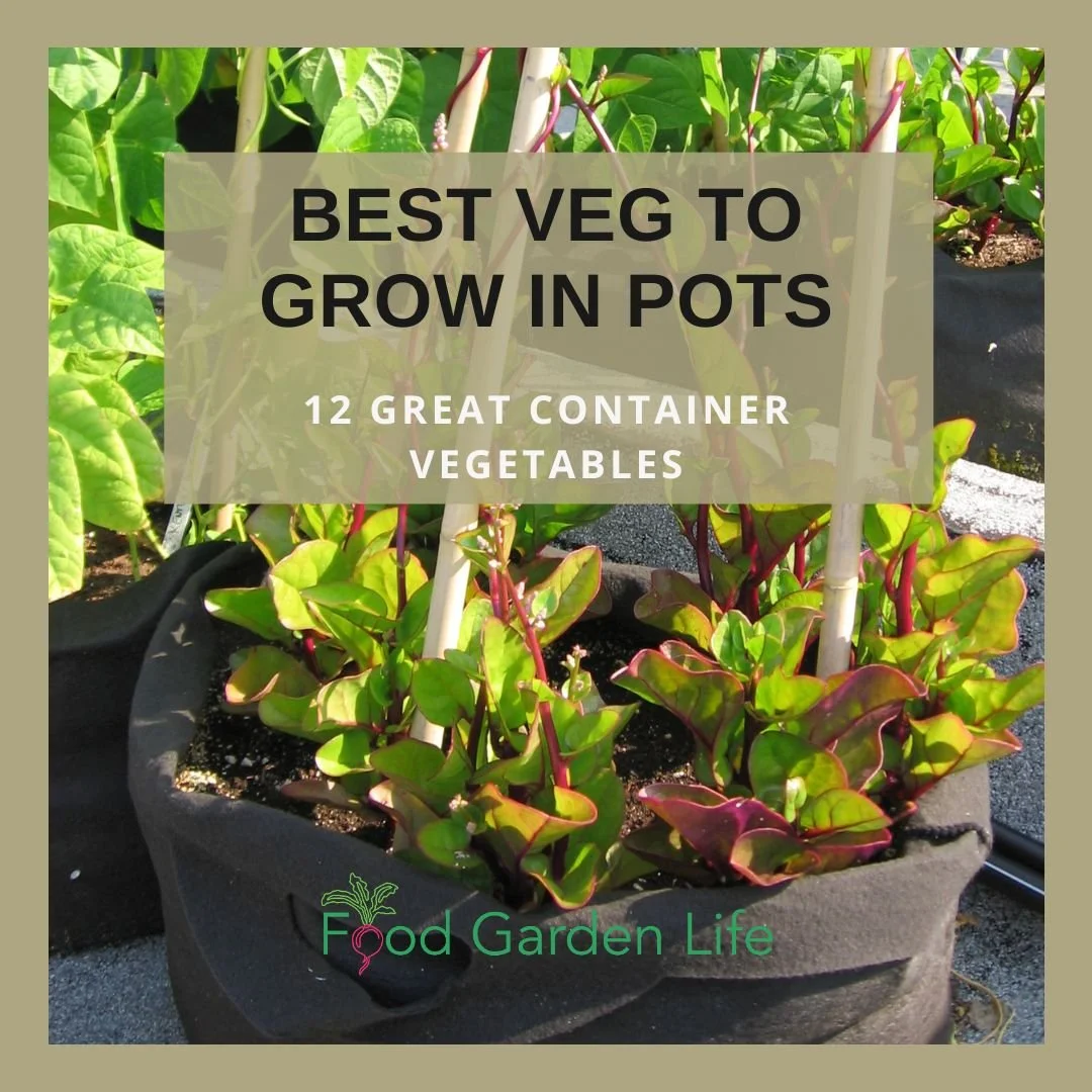 Growing Vegetables in Tubs