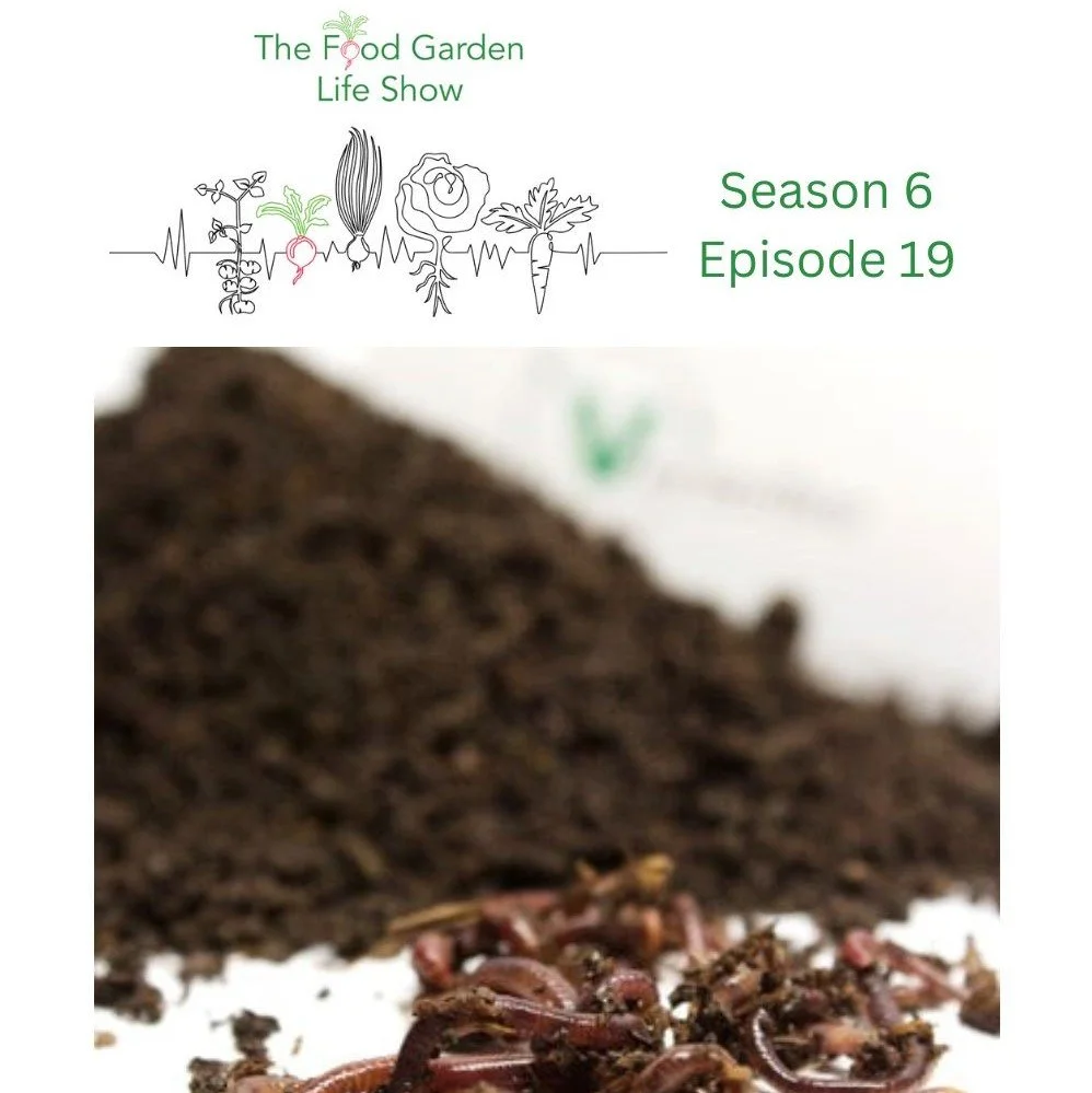 How to Feed Soil and Plants with Worm Compost — Food