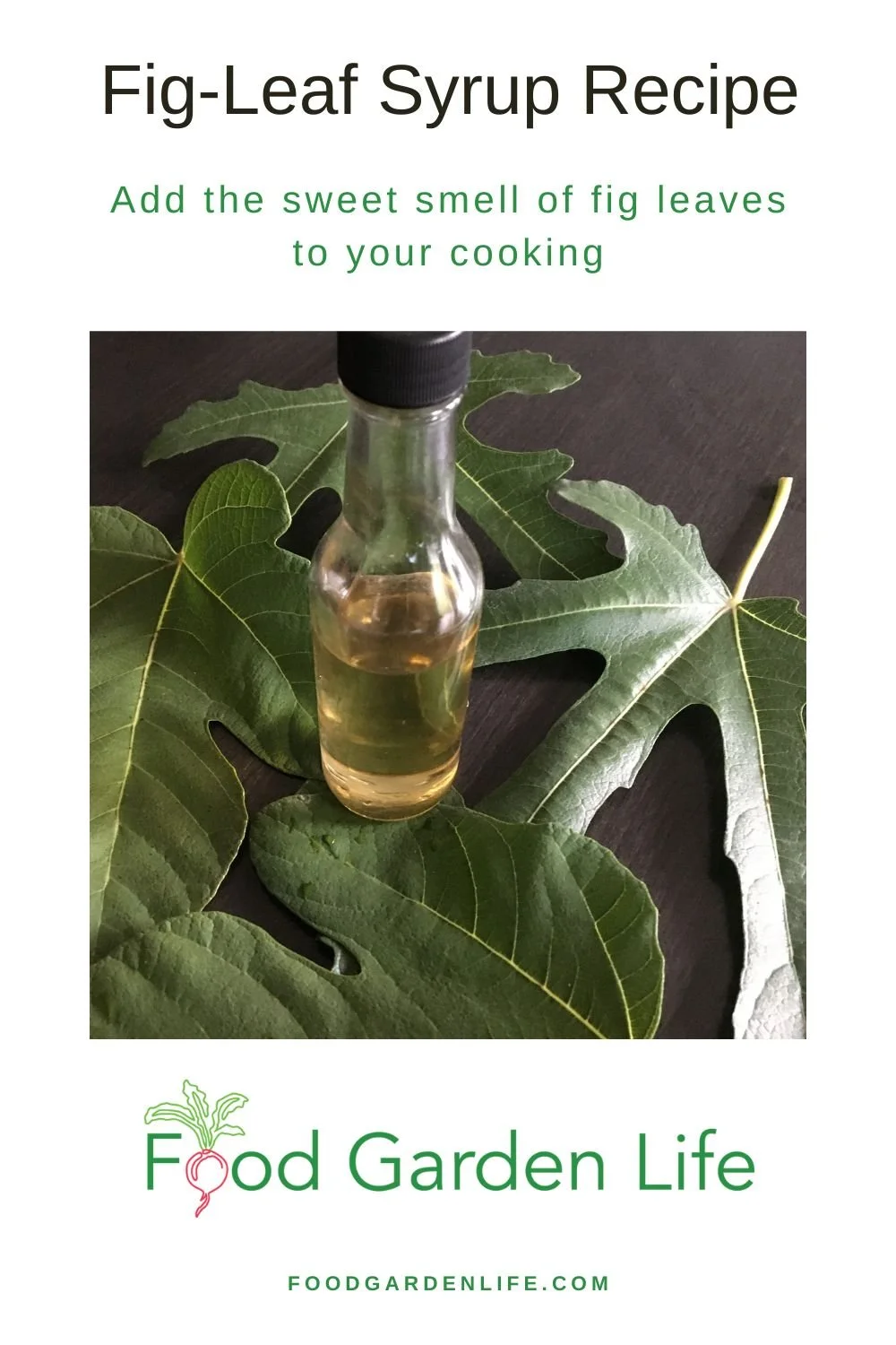 FigLeaf Syrup Recipe — Food Garden Life Edible Garden, Vegetable