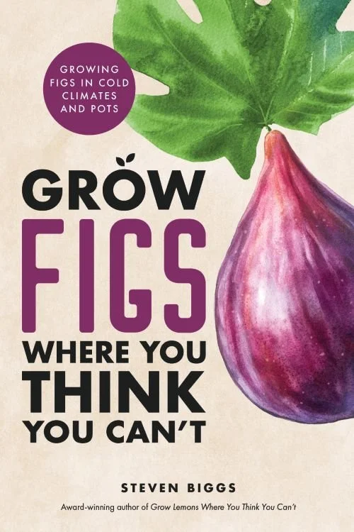 Grow Figs Where You Think You Can't book cover
