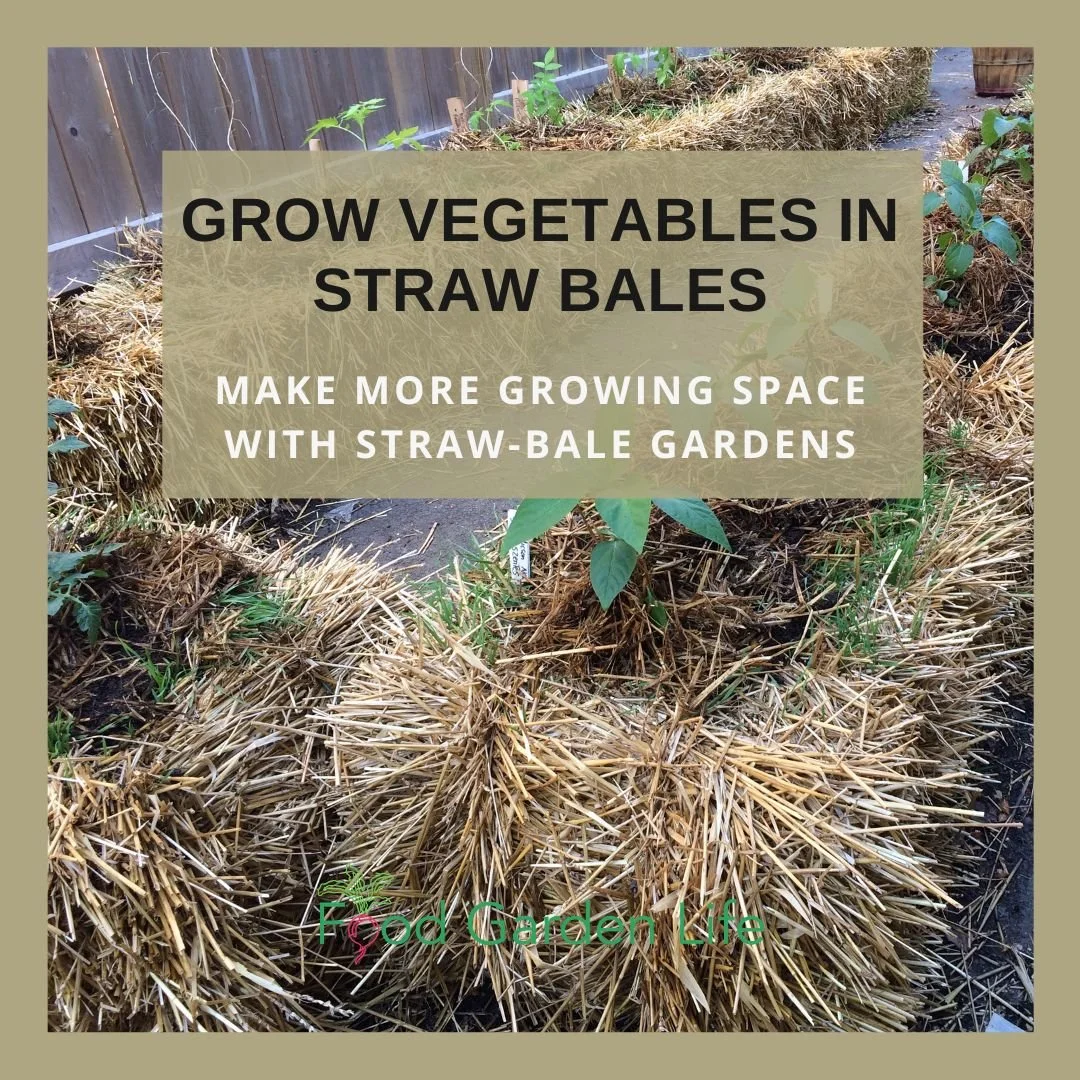 4 Reasons To Grow Veggies In A Straw Bale Garden 