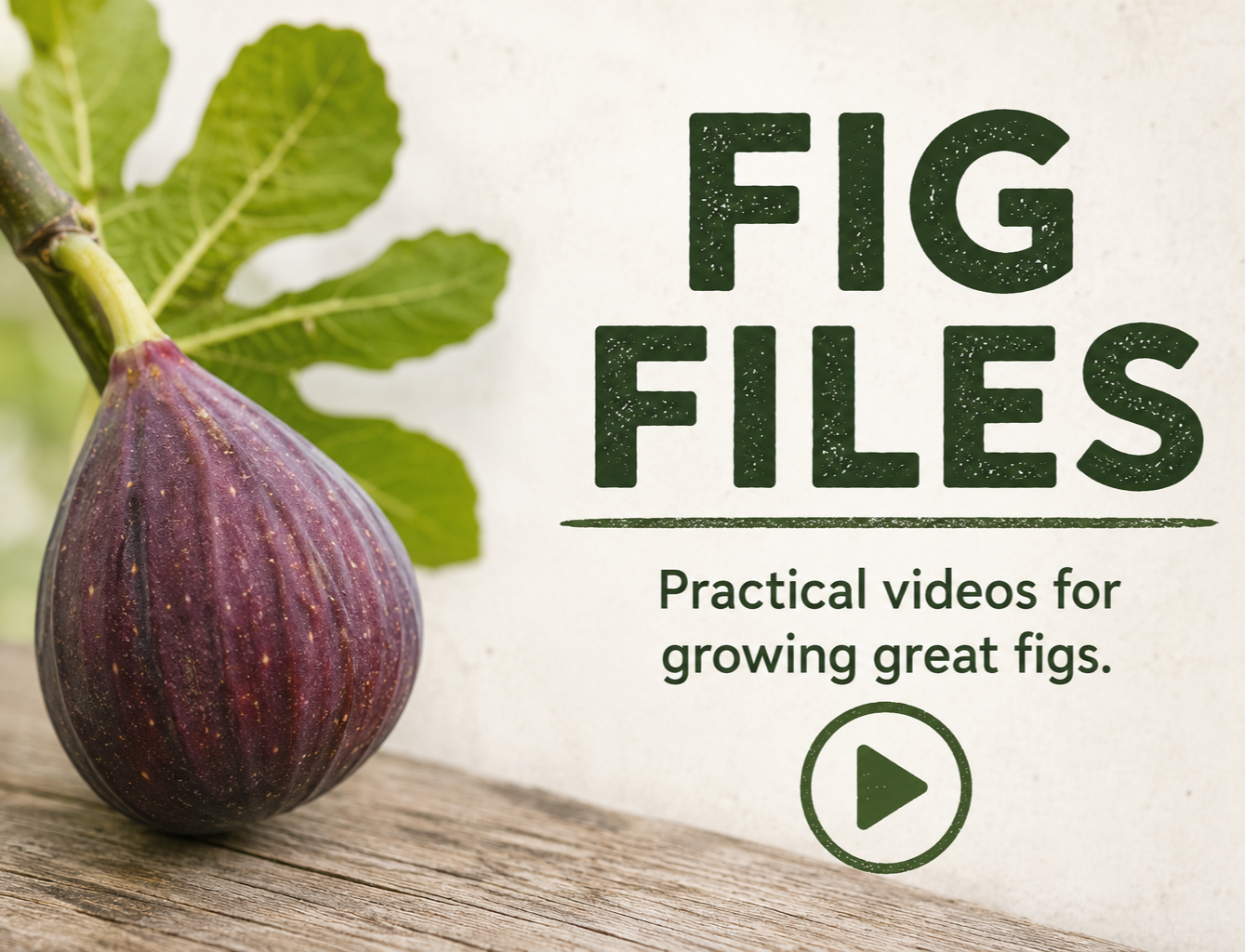 Fig Files fig-growing videos