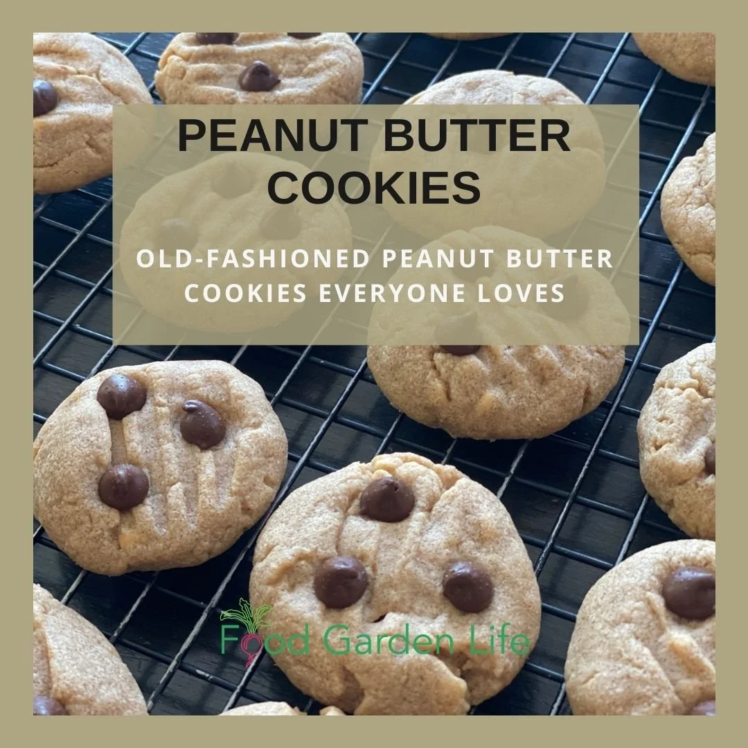 Chewy Peanut Butter Cookies