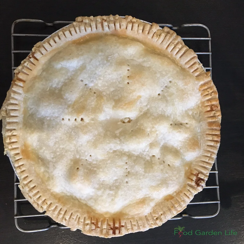 Mom's Rhubarb Pie Recipe — Food Garden Life: Edible Garden, Vegetable ...