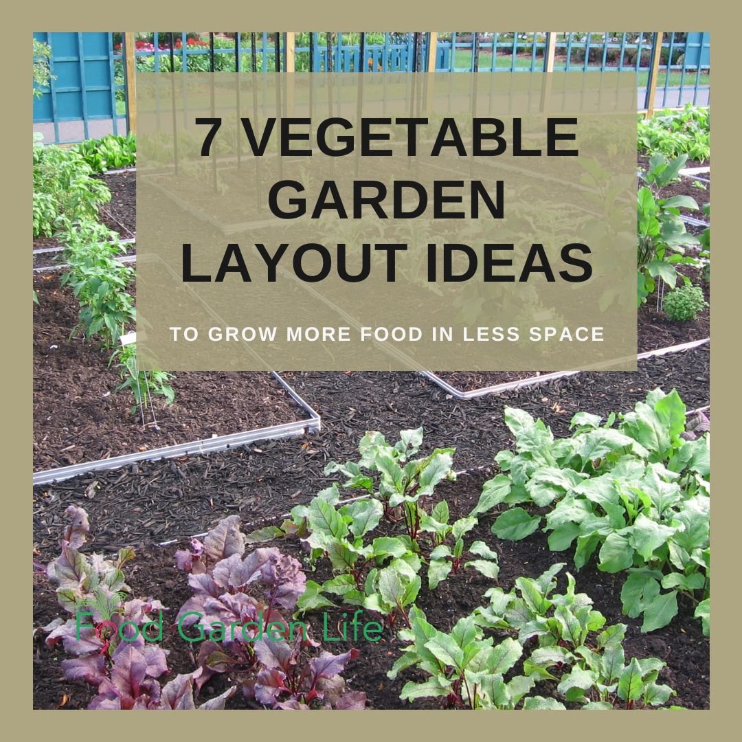 Container Vegetable Gardens for Small Spaces - The Gardening Cook