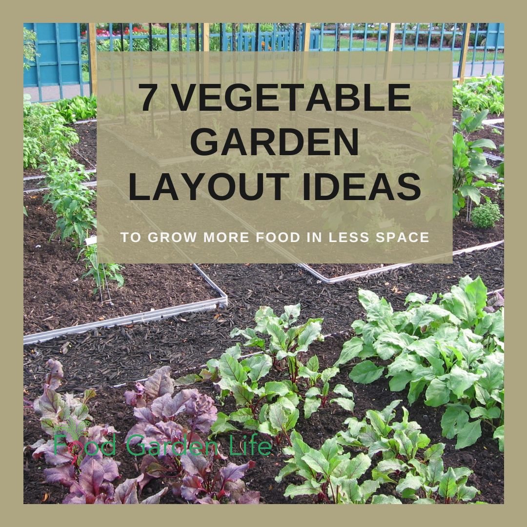 7 Vegetable Garden Layout Ideas To Grow More Food In Less Space