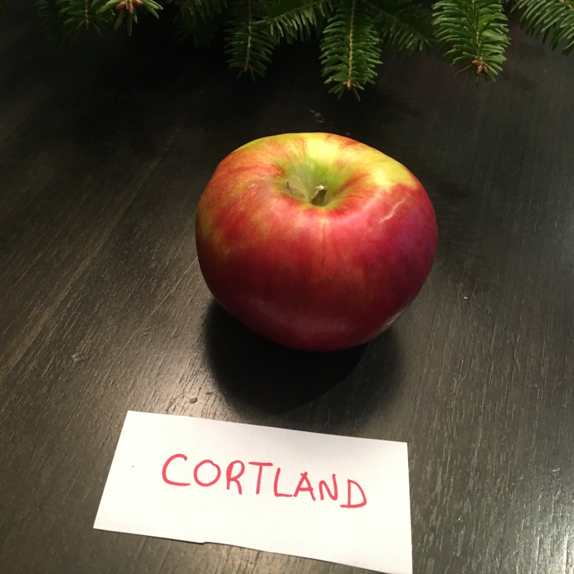 Cortland Apple - Definition and Cooking Information 
